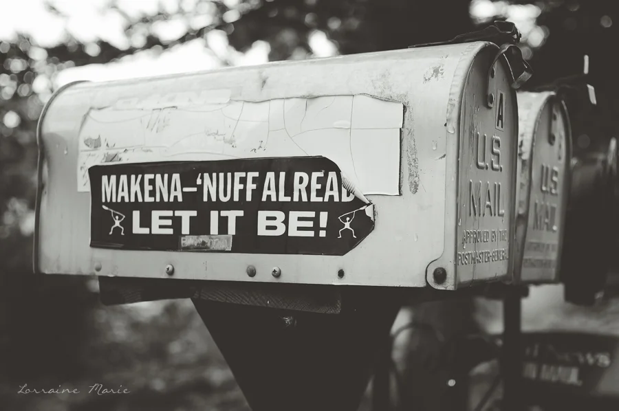 Maui Photographer, Travel Alberta 