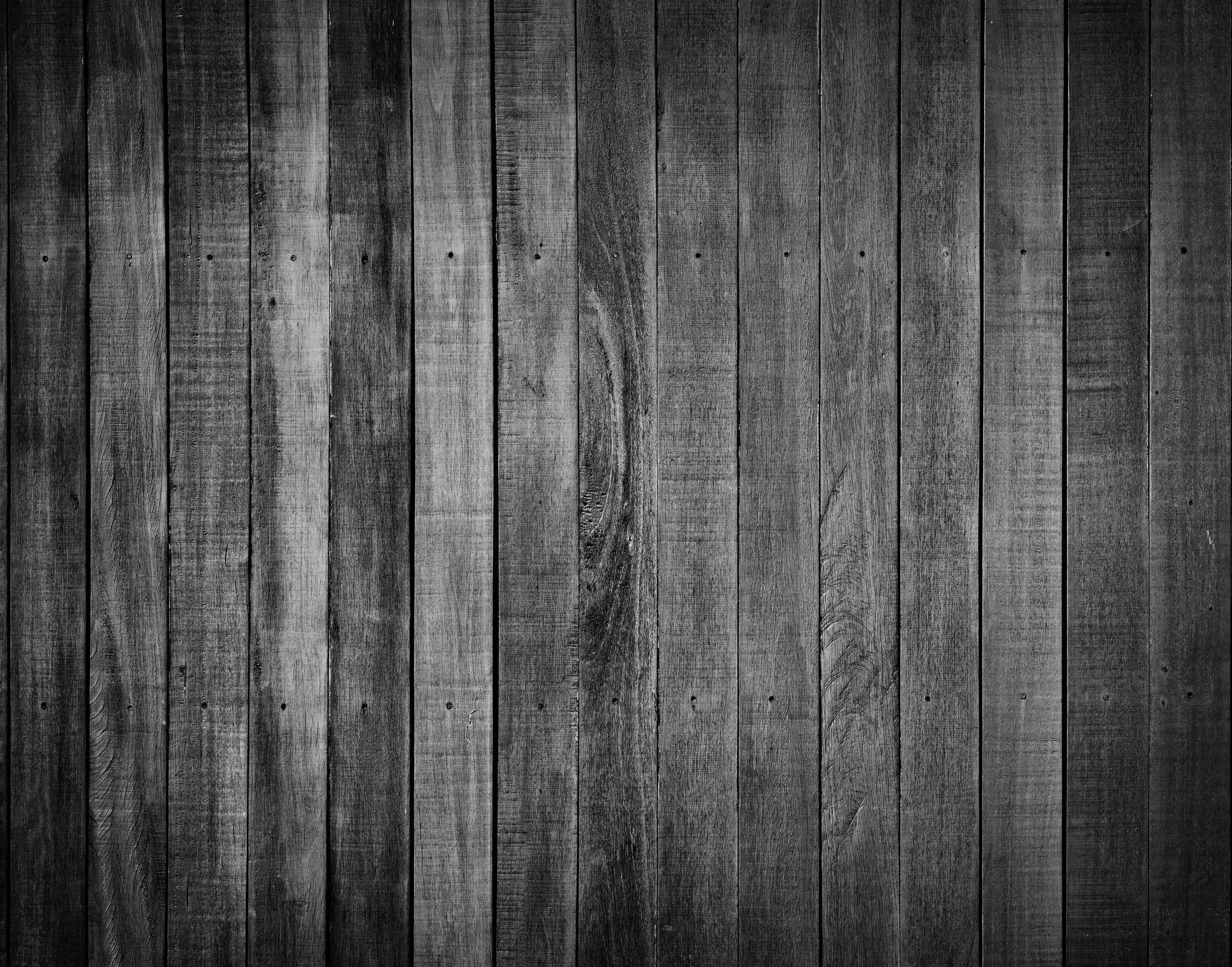 rawpixel-567028-unsplash.jpg