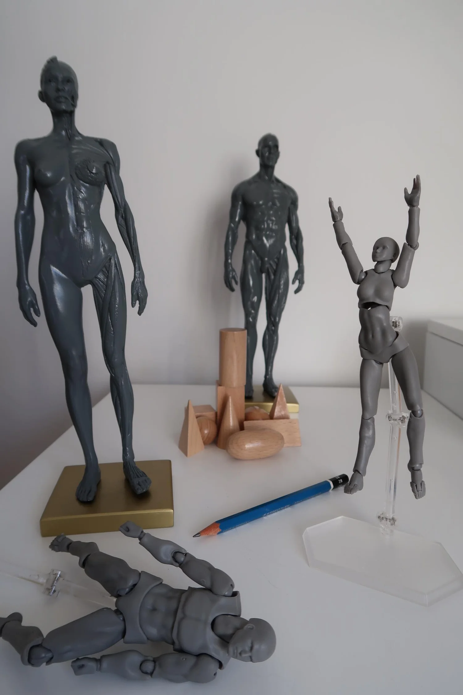 Draw Better with 3D Models — amiko simonetti