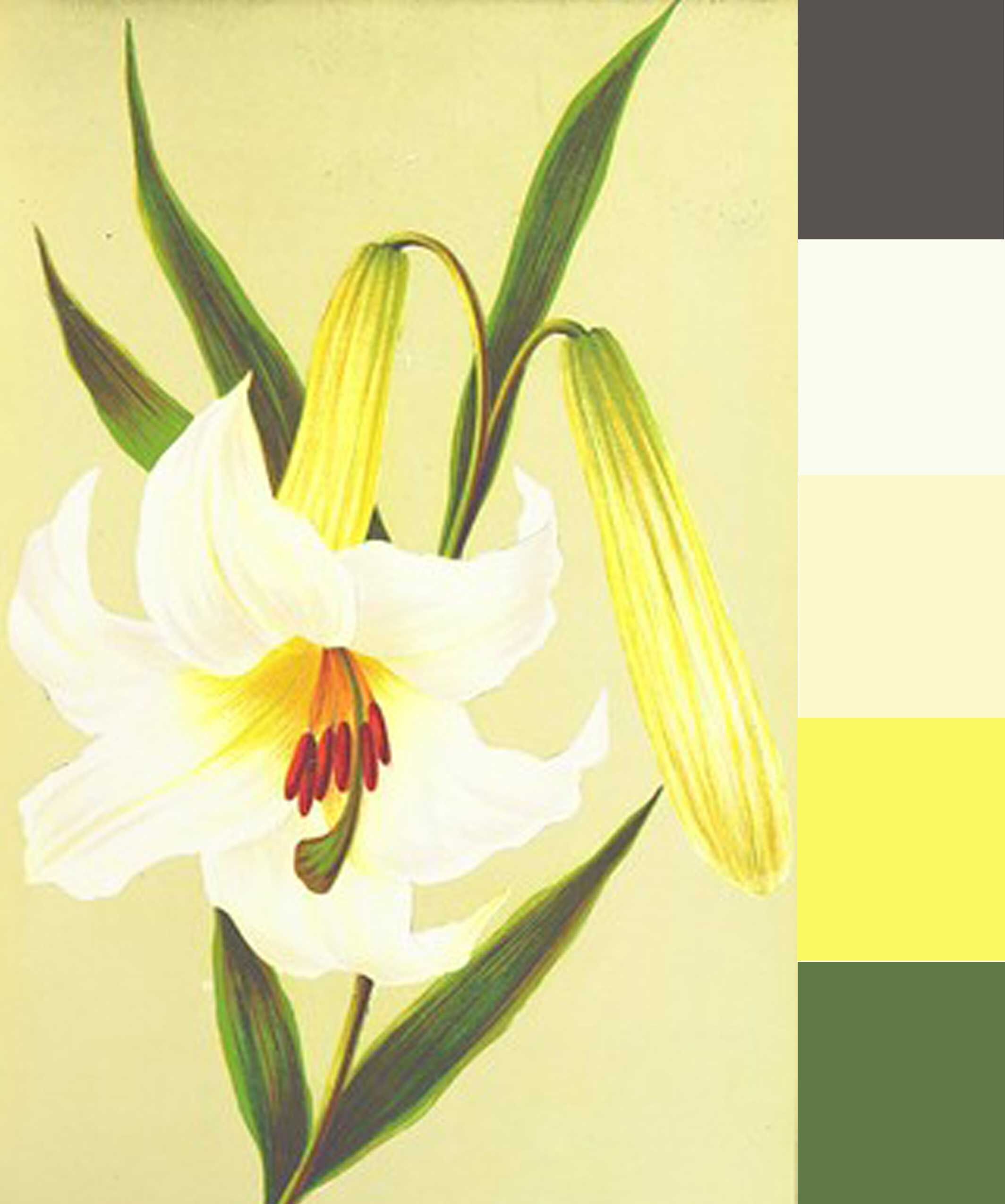 Image taken from page 193 of 'The Keble Autograph Birthday Book.