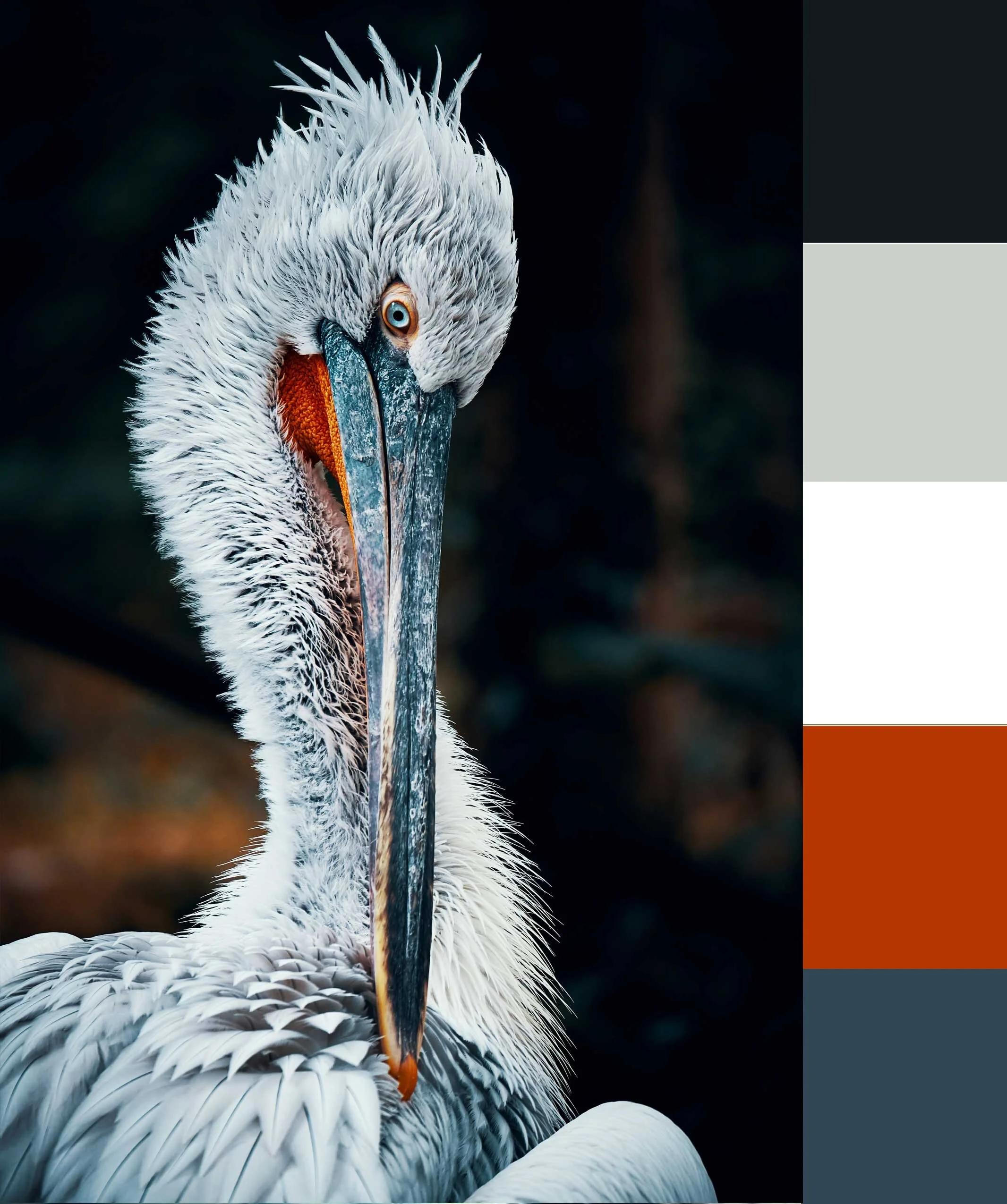 Photo by Thomas Millot on Unsplash