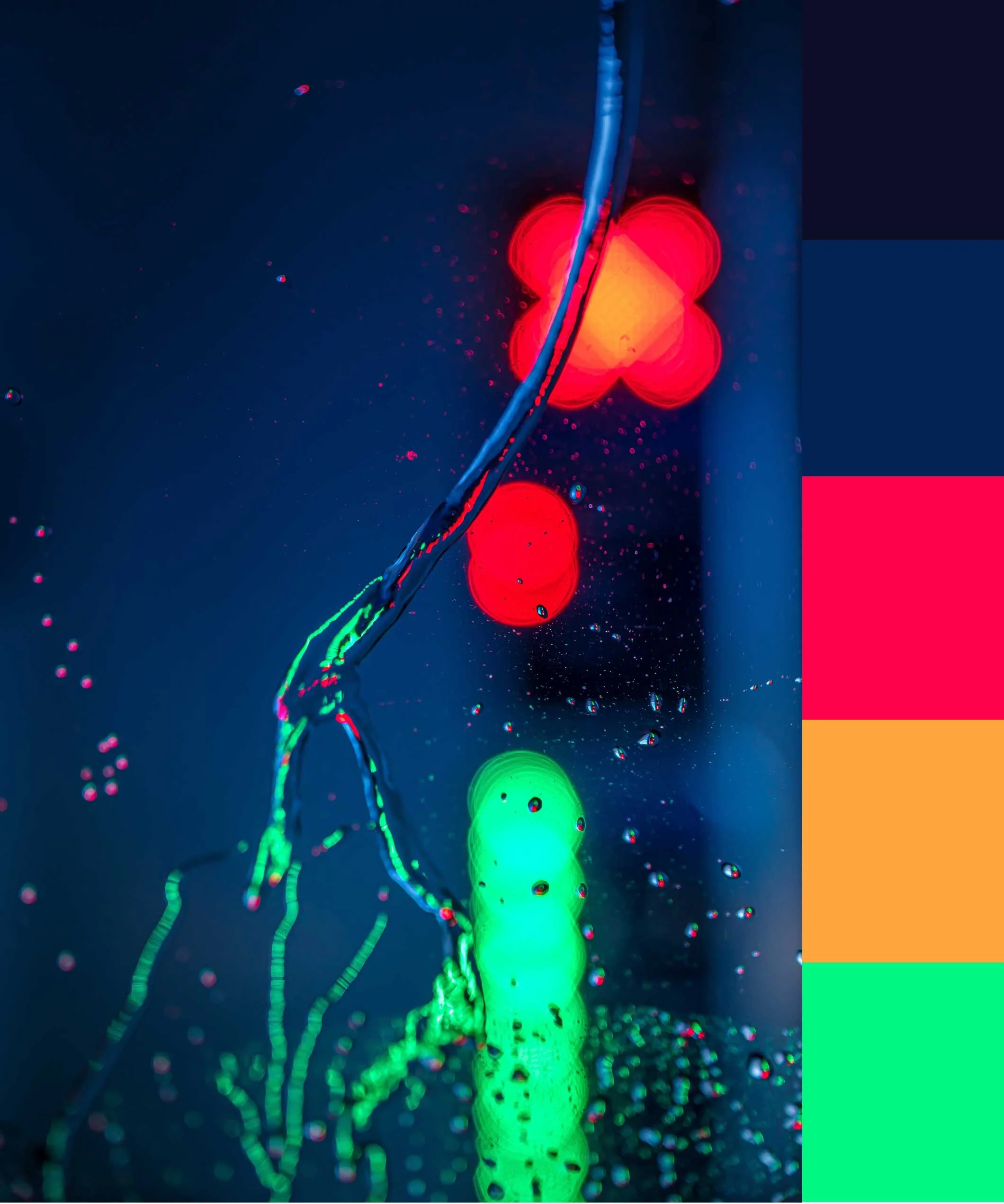 Photo by Brett Sayles from Pexels