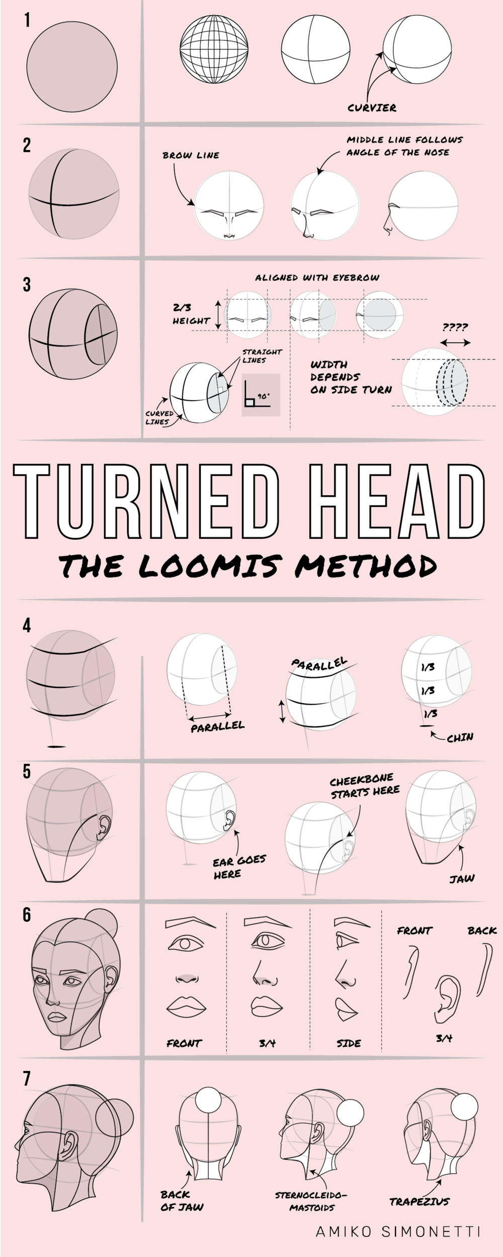 Le didacticiel complet de dessin de tête tournée |  Méthode Loomis |  Guide étape par étape pour les débutants
