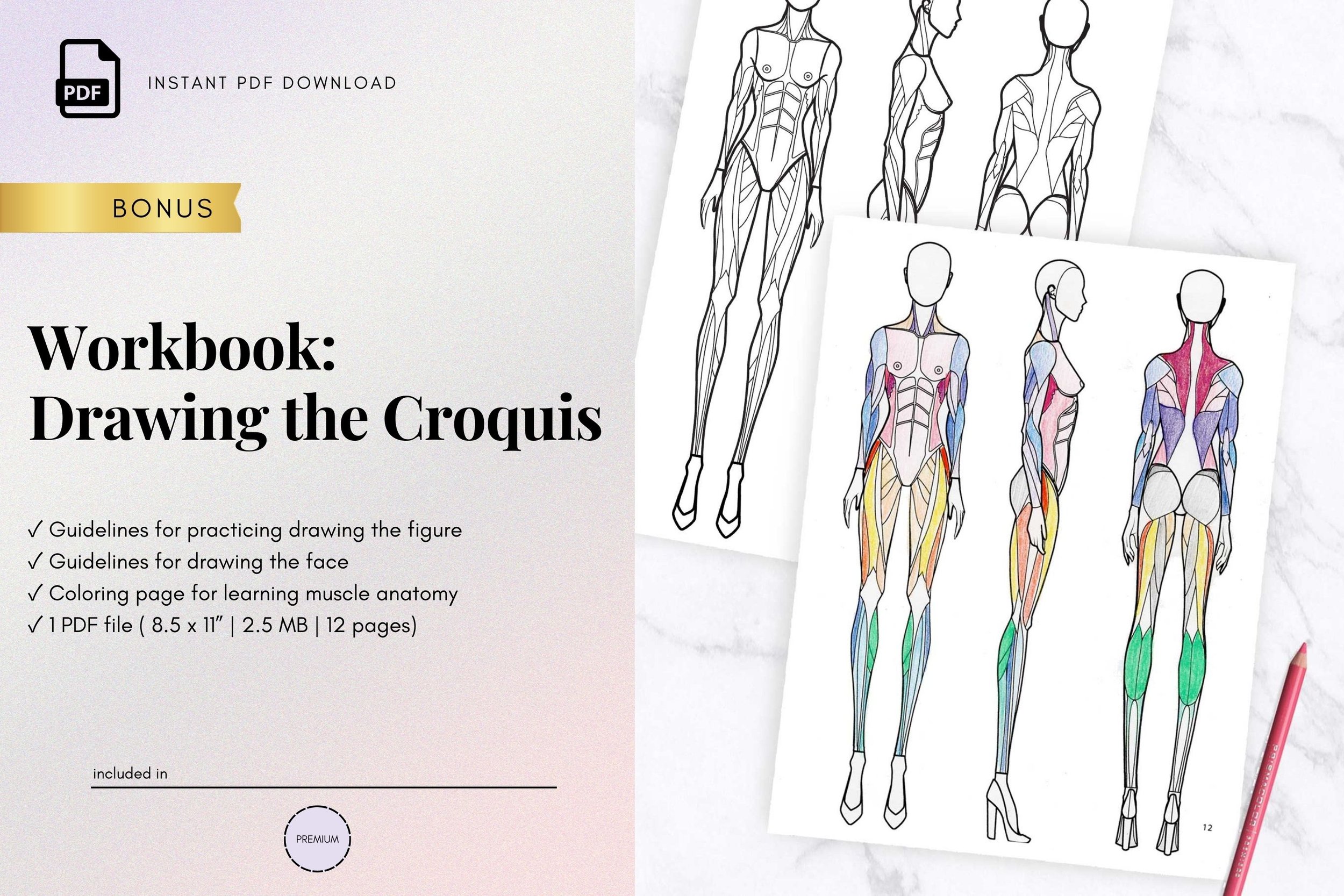 Workbook: Drawing the Croquis (Copy)
