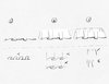 How to Draw Ruffles | Step-by-Step Beginner’s Guide — amiko simonetti