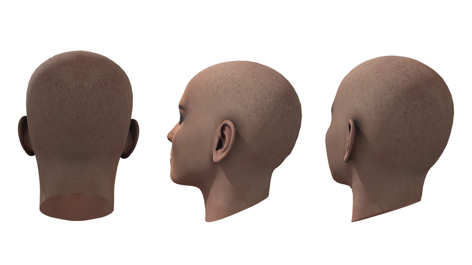 The Ultimate Guide To Drawing The Turned Head Loomis Method Step By