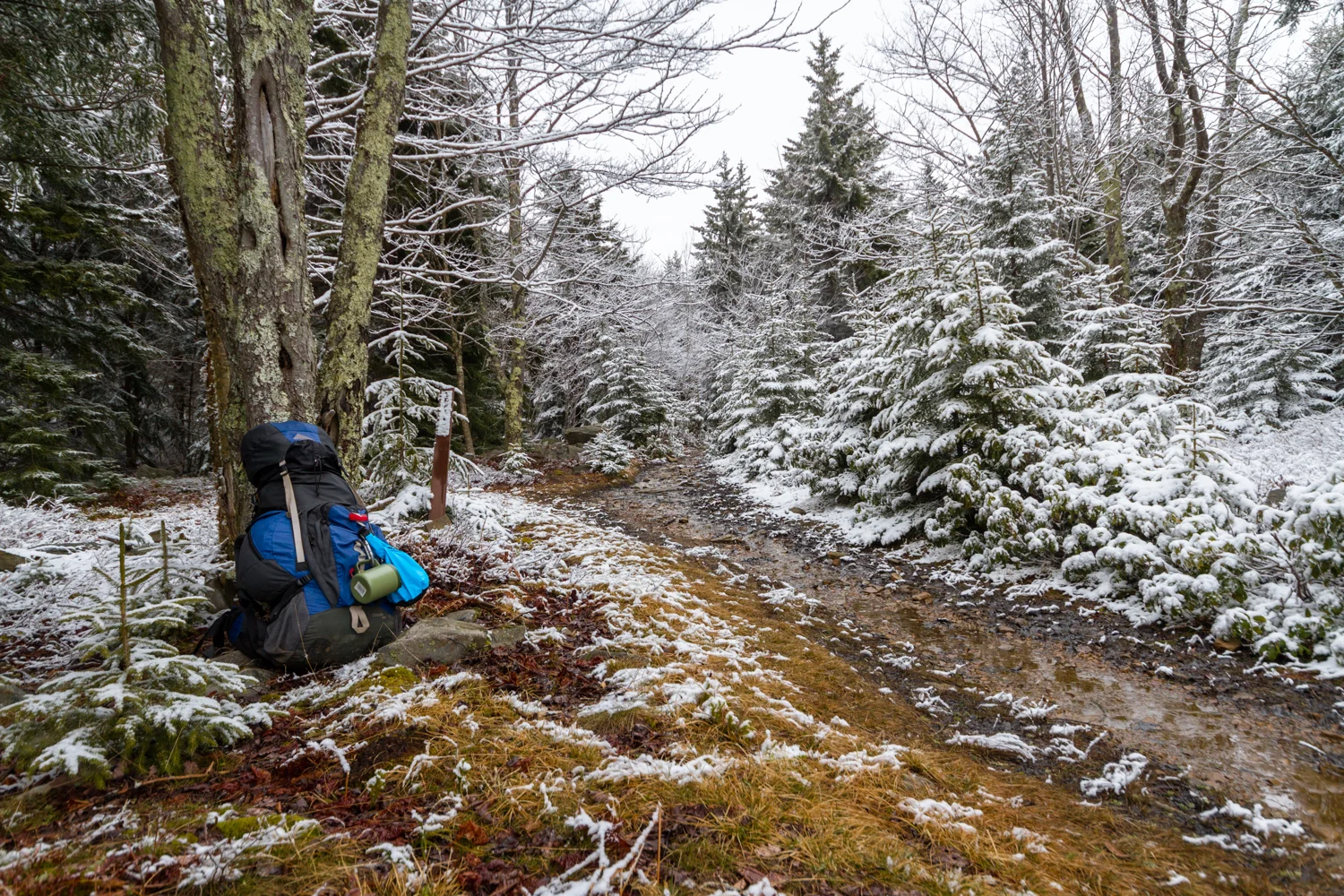 Dolly-Sods-Wilderness-01.jpg