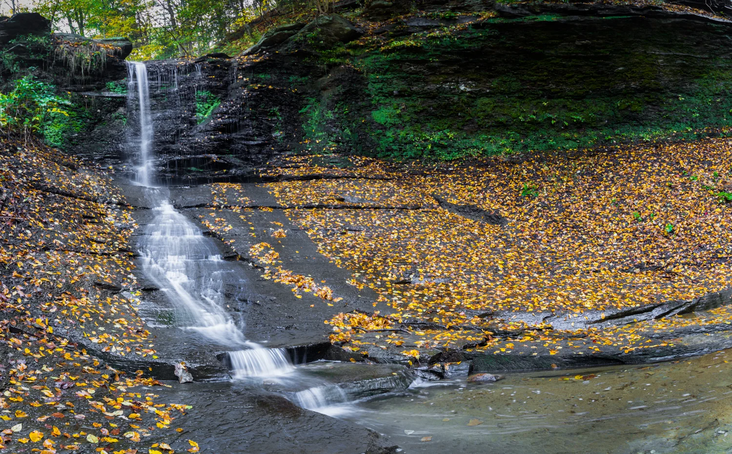 Fall-Run-Park-pano-1.jpg