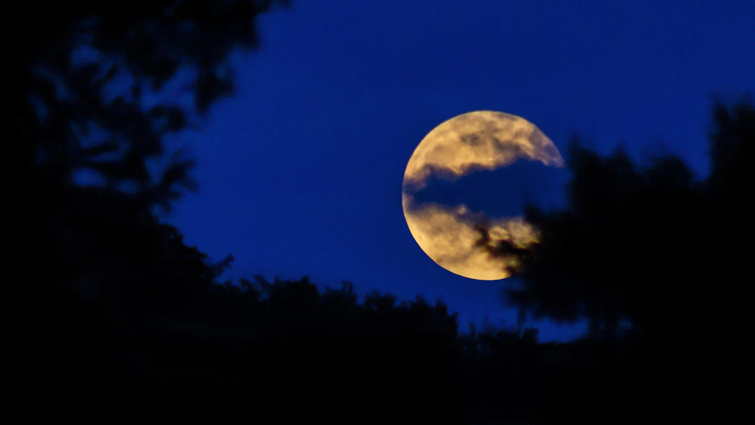 Full-Moon.jpg