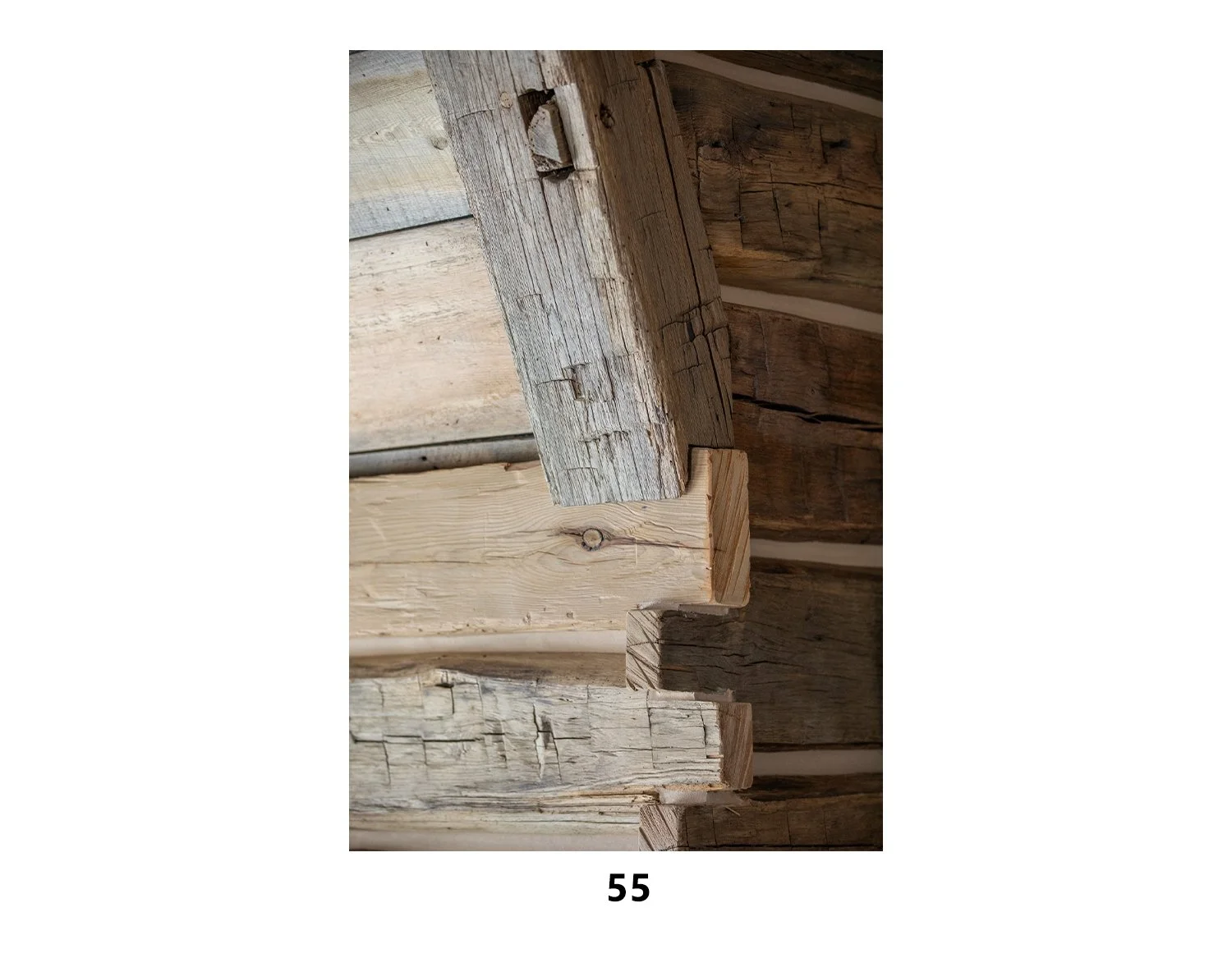 55.jpg