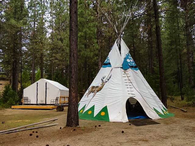 Camping+-+Tee+Pees+6.jpg