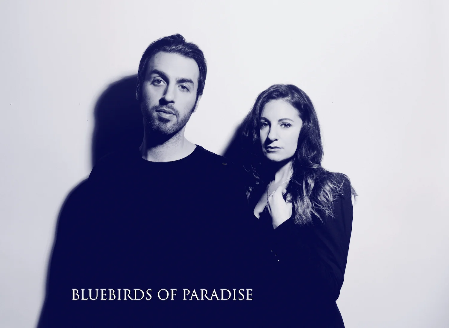 Bluebirds Promo Pic_small.jpg
