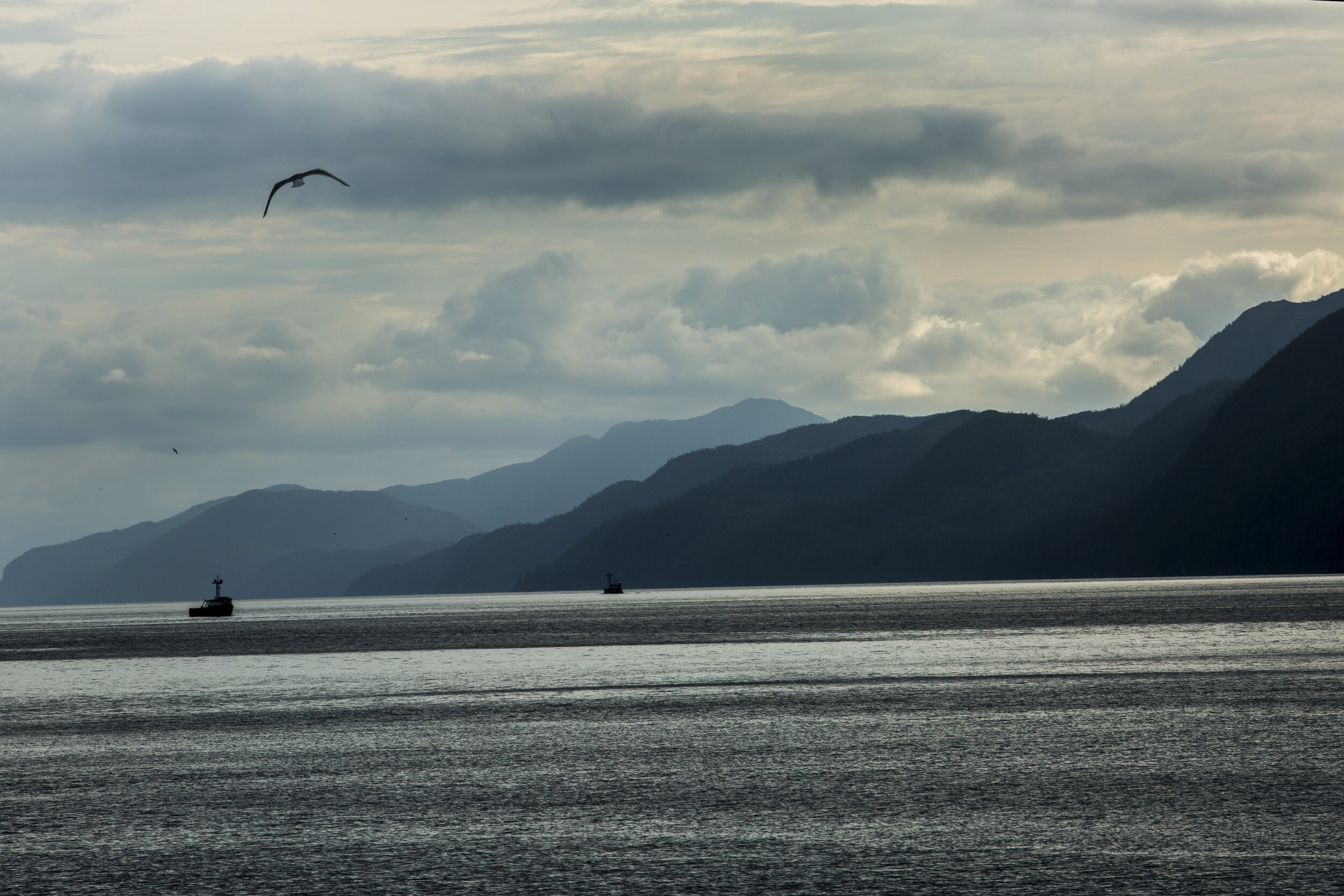 20140722_CC_Cordova_ZB_Landscape (13).jpg