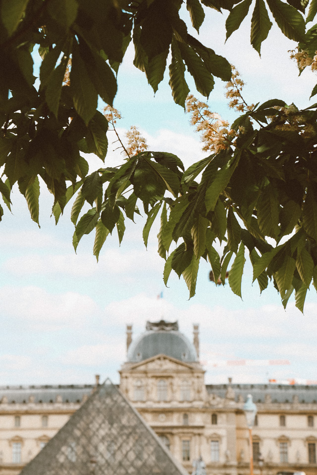 ParisBlog (77 of 88).jpg