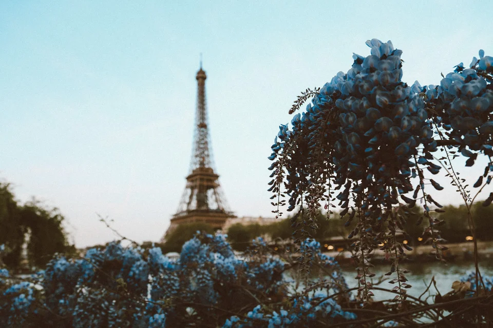 ParisBlog (38 of 88).jpg