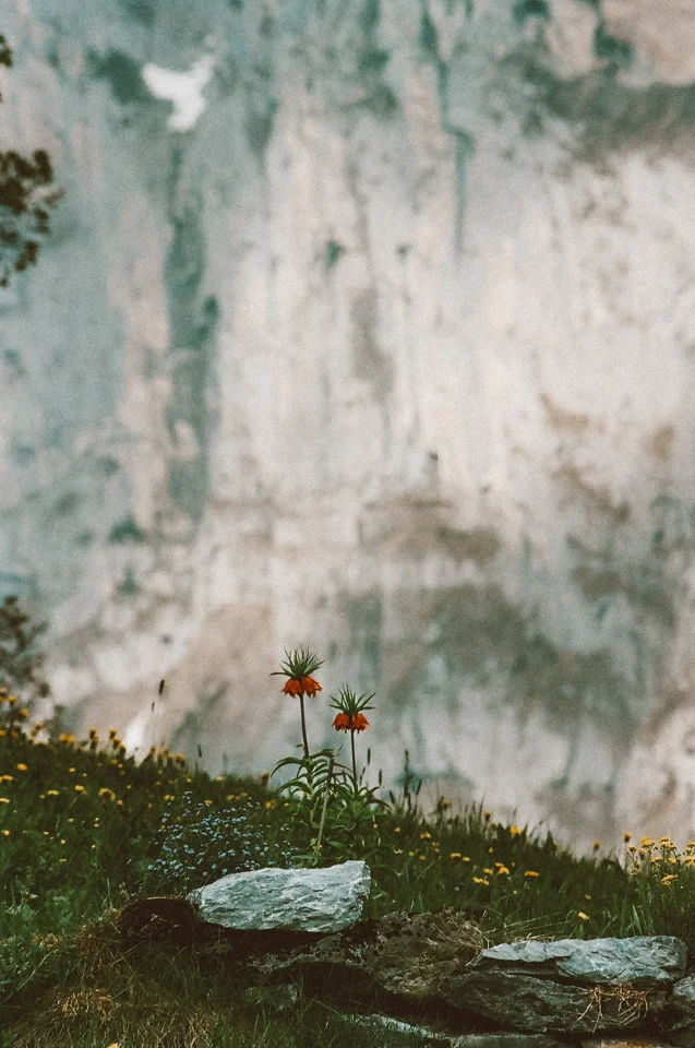 SwitzerlandBlog (67 of 117).jpg