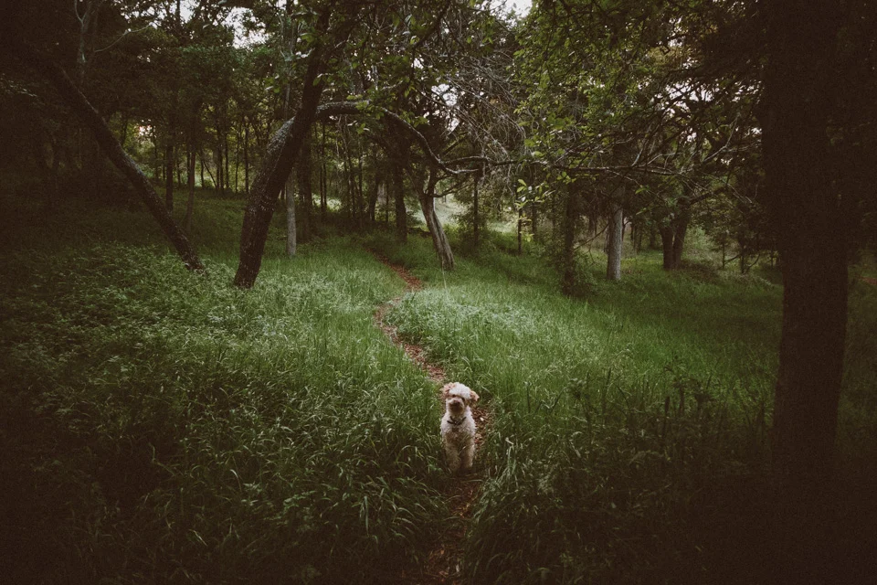 Boog blog (3 of 134).jpg