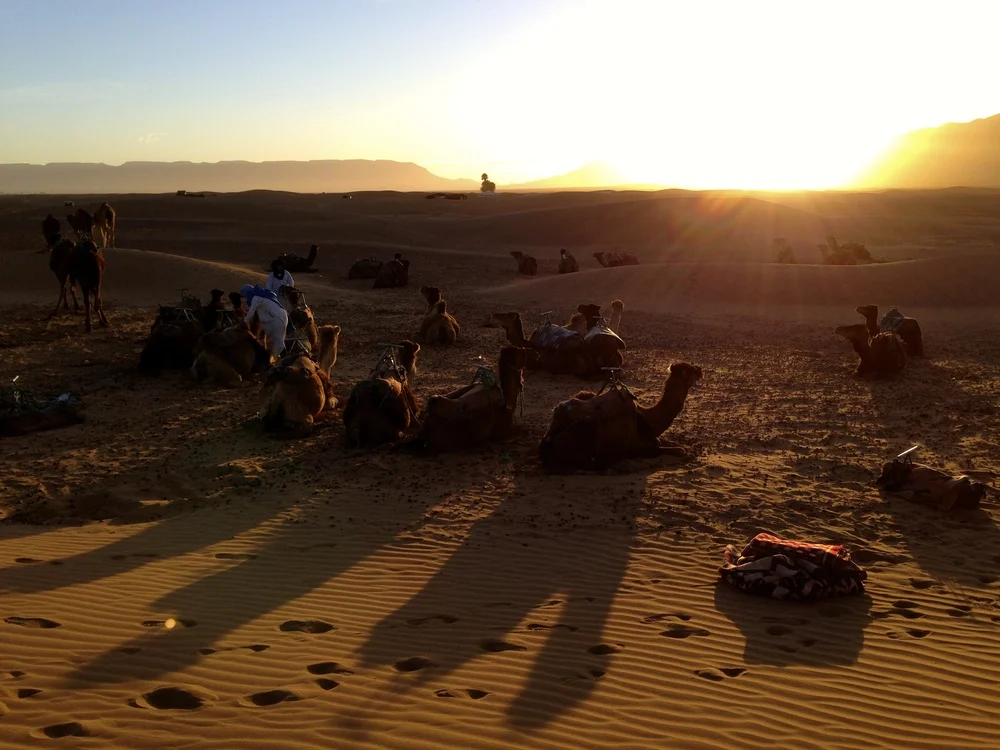 ZAGORA, SAHARA DESERT, MOROCCO