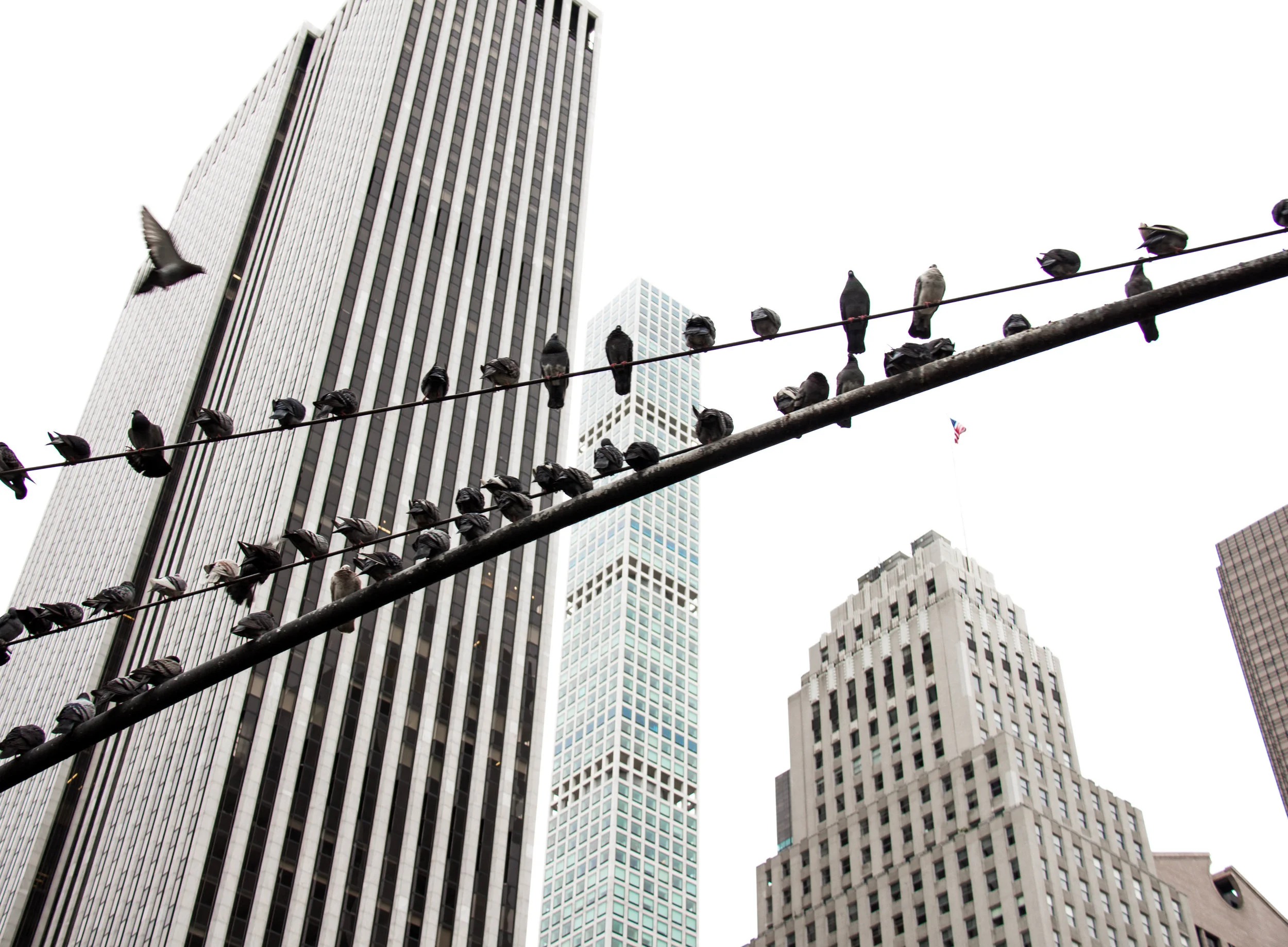 NEW YORK, NEW YORK