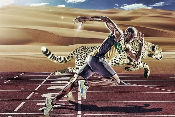 Sprinting With Cheetahs