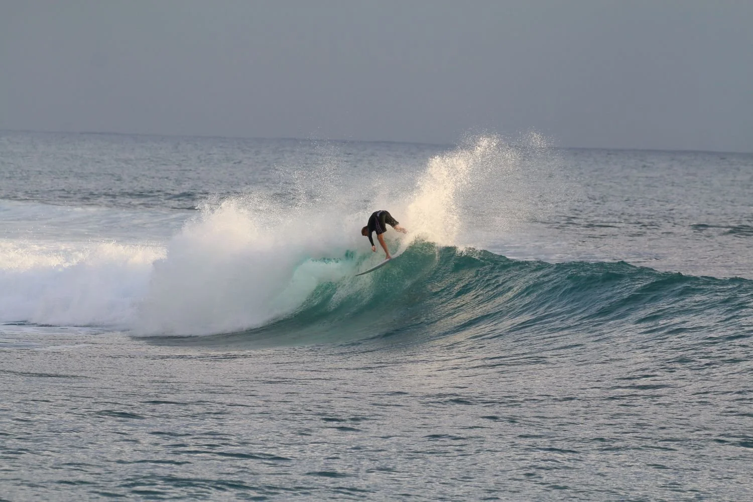 BACKSIDE WHACK.jpg