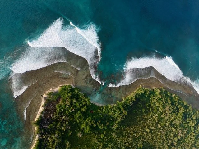 DJI_20260921100026_0142_D.jpg