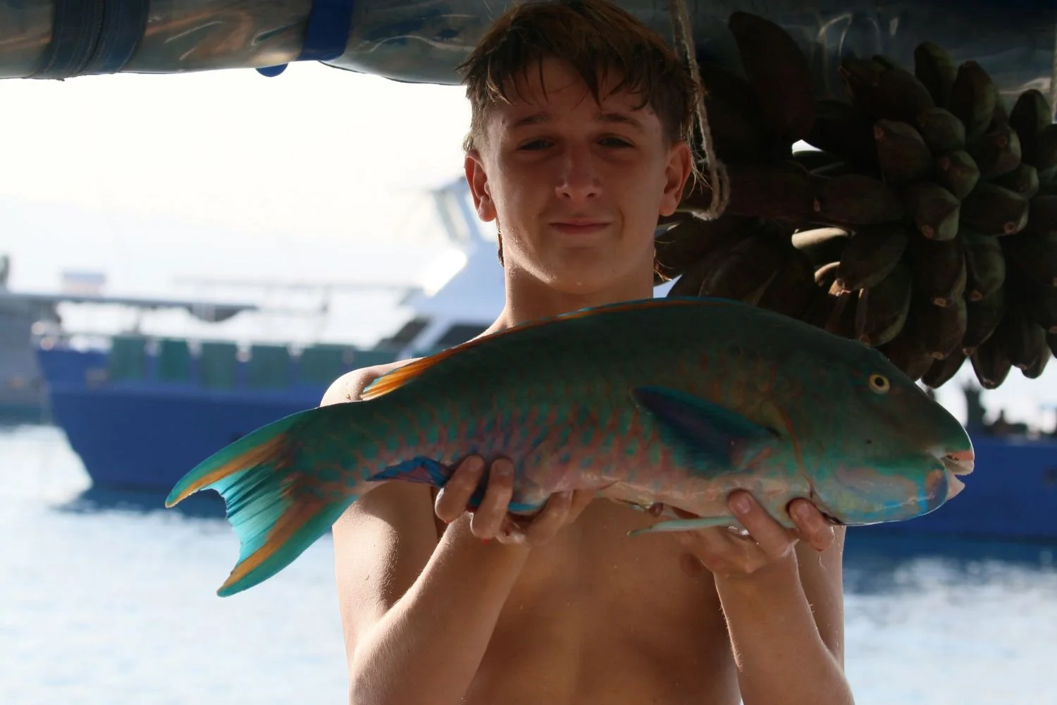 PARROT FISH.JPG