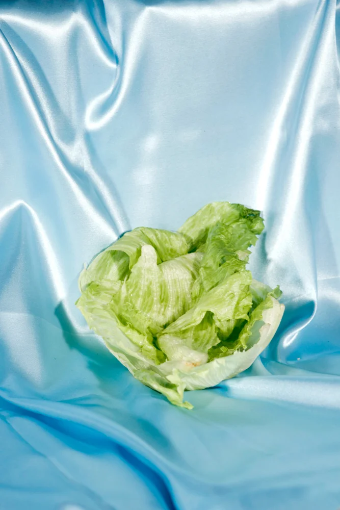 Pretty Disgusting (Untitled No 2) , 2014 Archival Inkjet print 8.5 x 11 inches