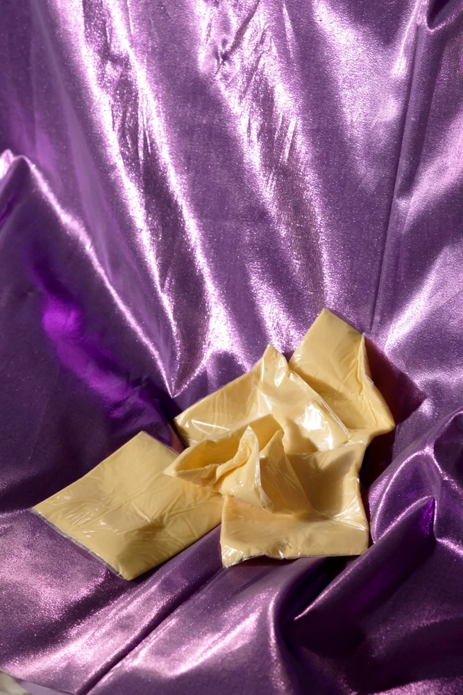 Pretty Disgusting (Untitled No 4) , 2014 Archival Inkjet print 8.5 x 11 inches