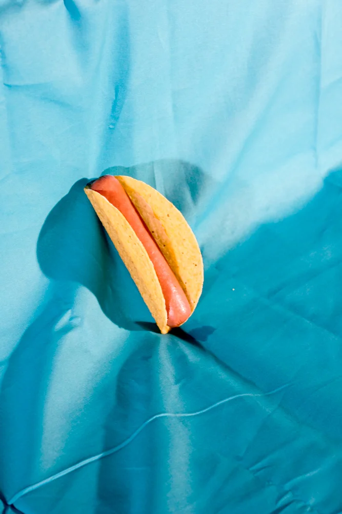 Pretty Disgusting (Untitled No 8) , 2014 Archival Inkjet print 8.5 x 11 inches