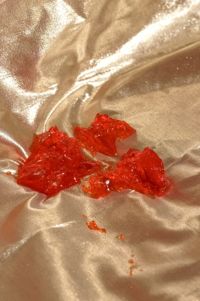 Pretty Disgusting (Untitled No 6) , 2014 Archival Inkjet print 8.5 x 11 inches