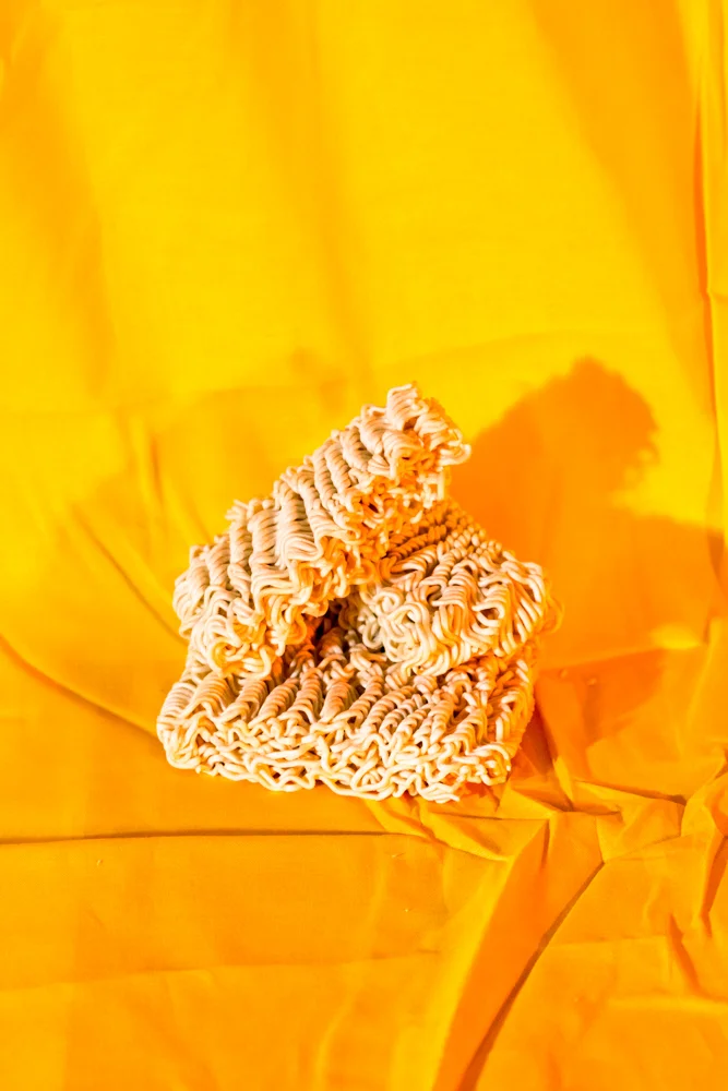 Pretty Disgusting (Untitled No 16) , 2014 Archival Inkjet print 8.5 x 11 inches