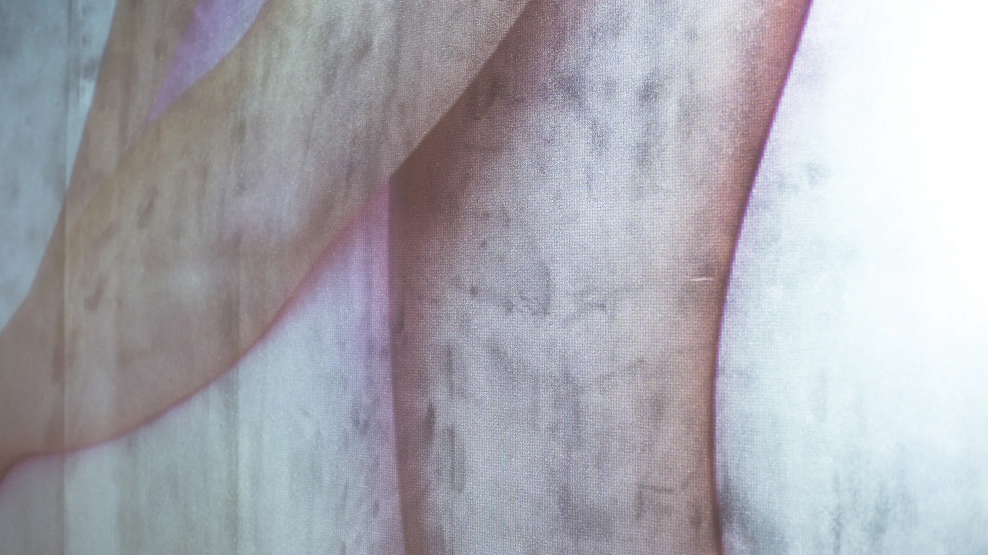 Infold, 2018