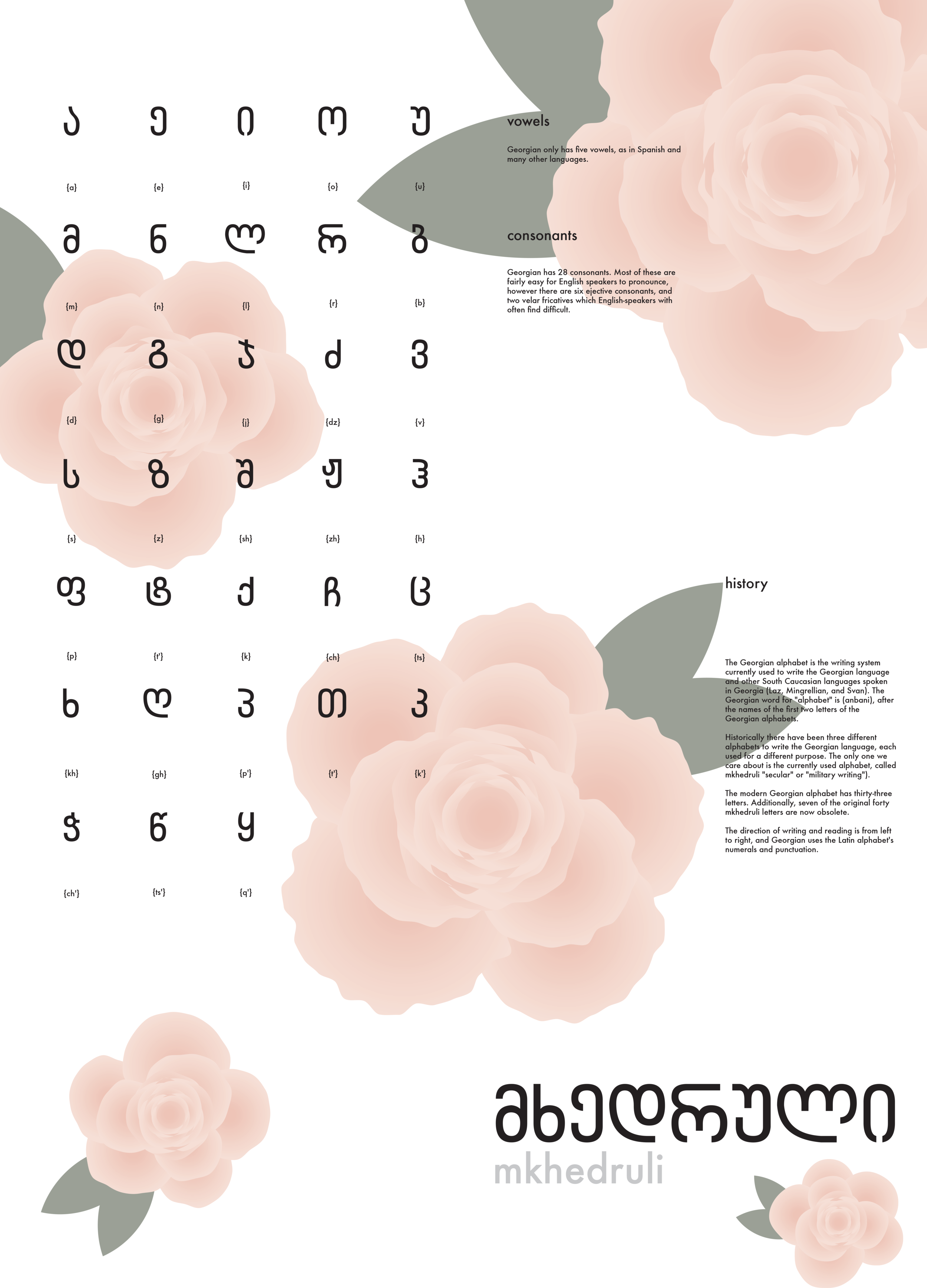 Type2 Project1_white background.png