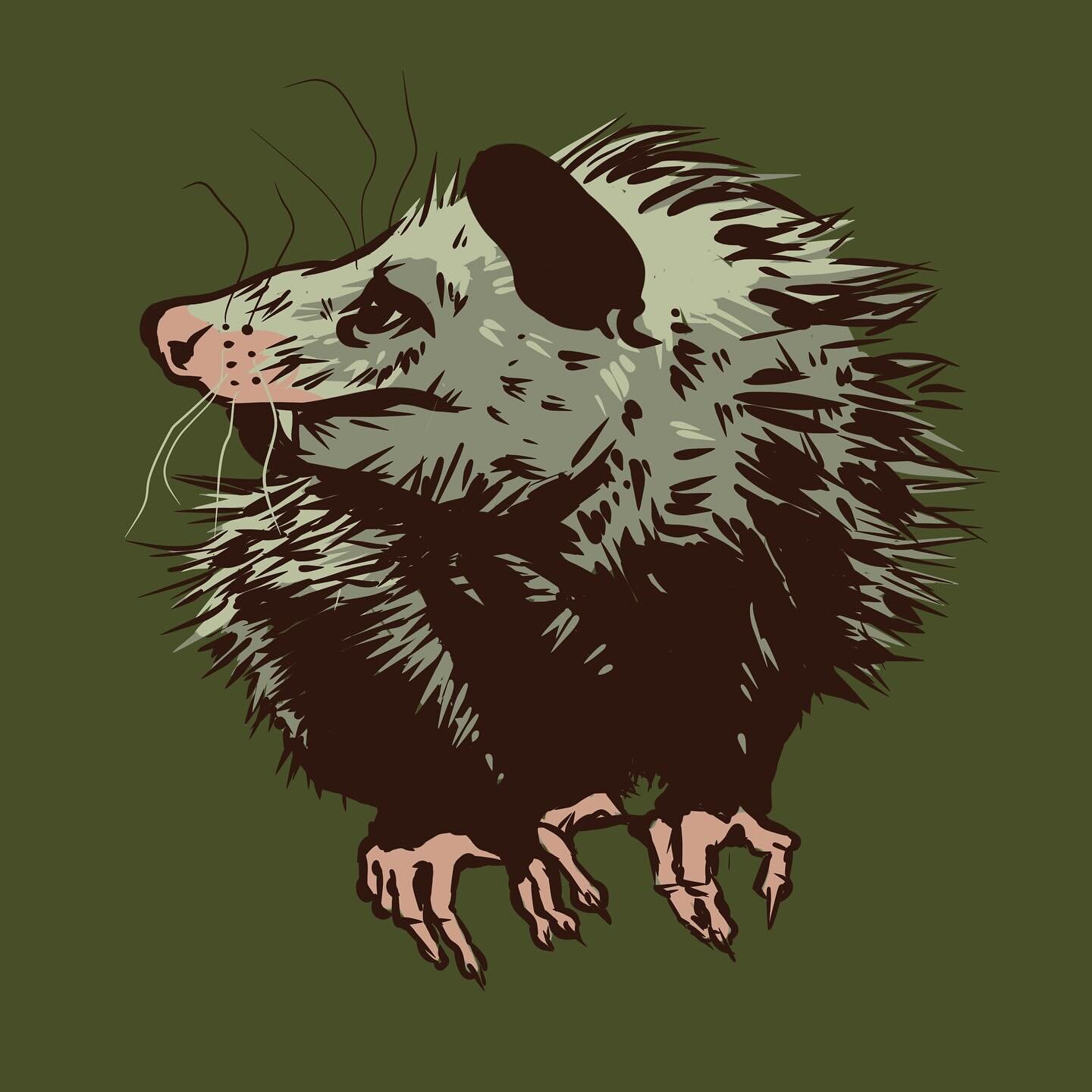 Midsized Opossum.
.
.
.
.
.
#drawing #animalart #sketch #opossum #pinegrove #midsizedopossum #artwork #art #digitalart #illustration #digitalillustration #josergil #draweveryday #illustrator #designer
