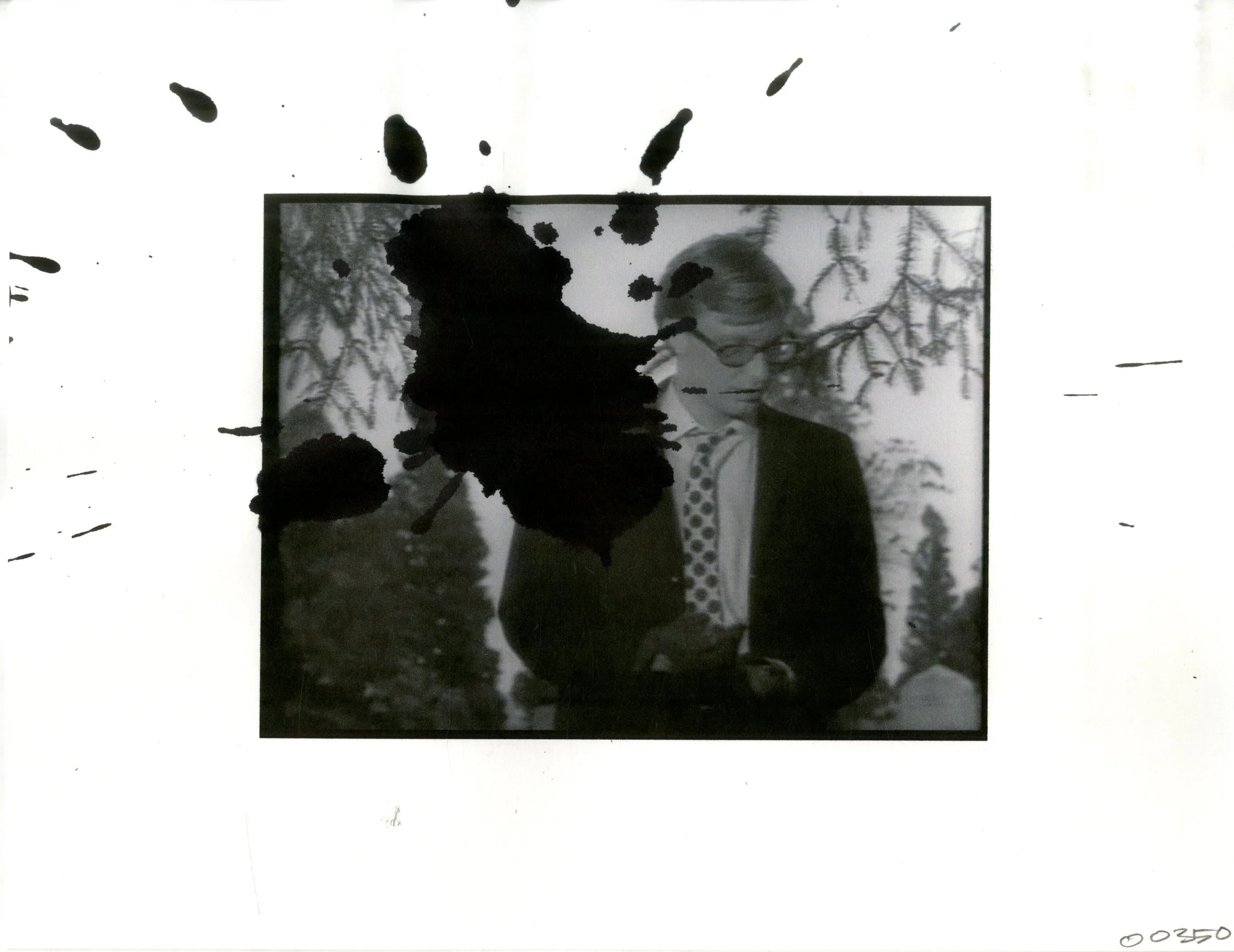 00350.jpg