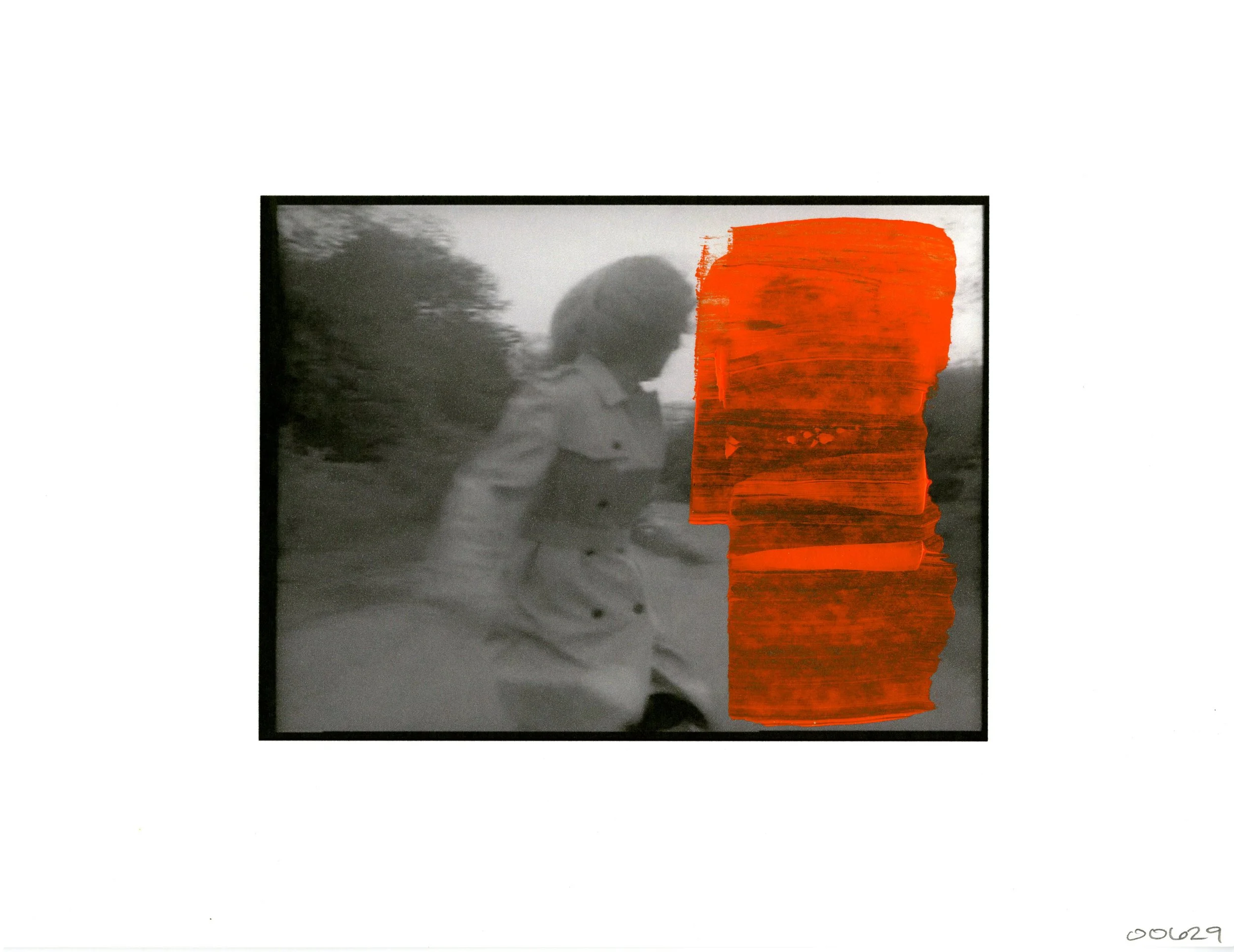 00629.jpg