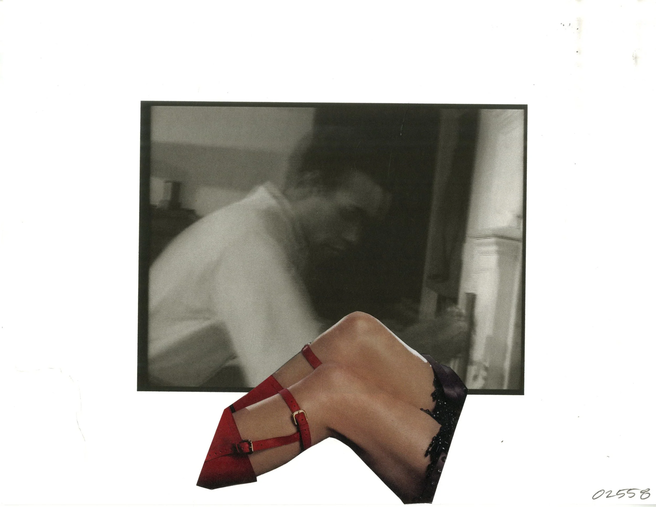 02558.jpg