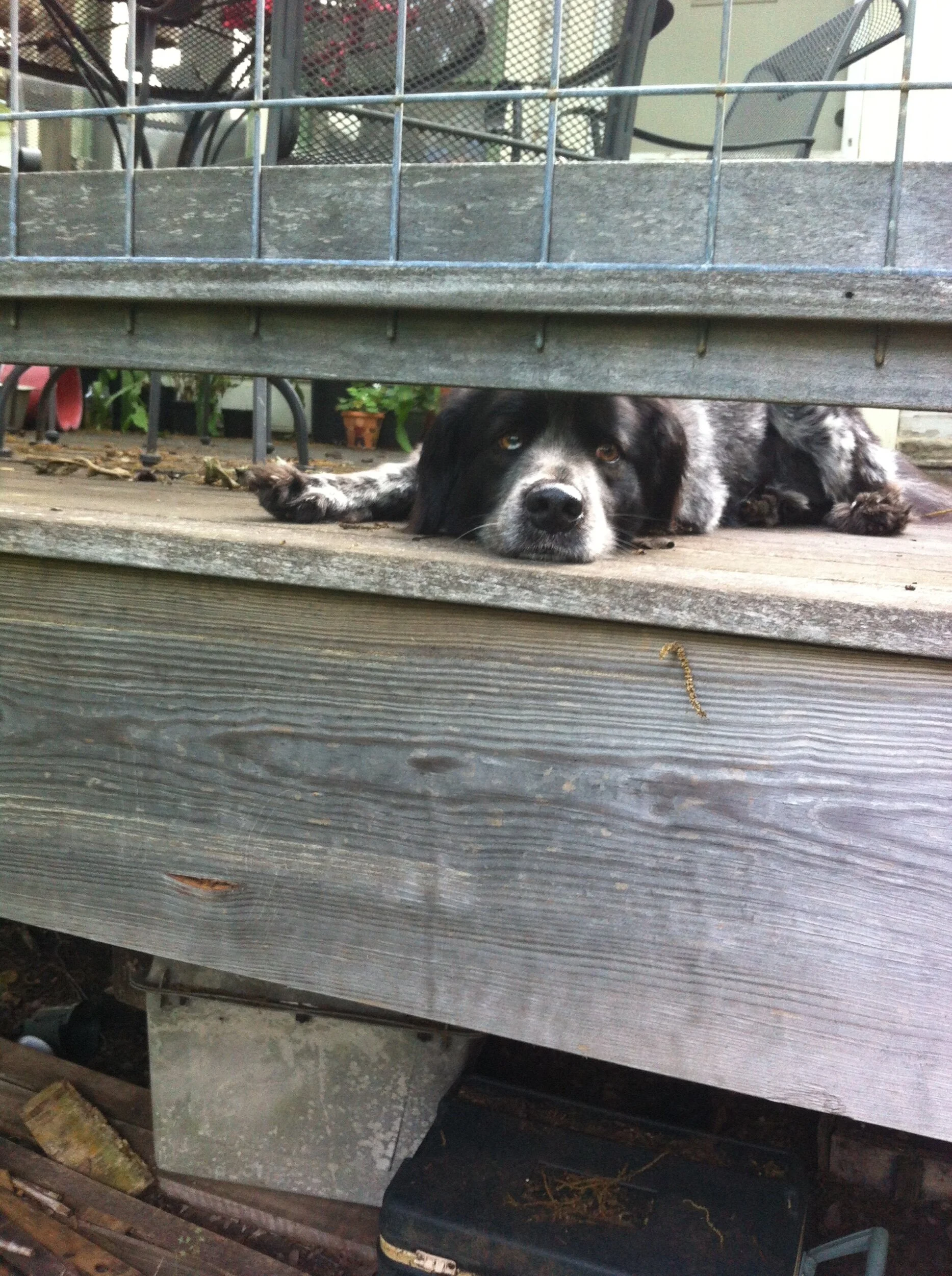 2015-05-09 19.18.06.jpeg