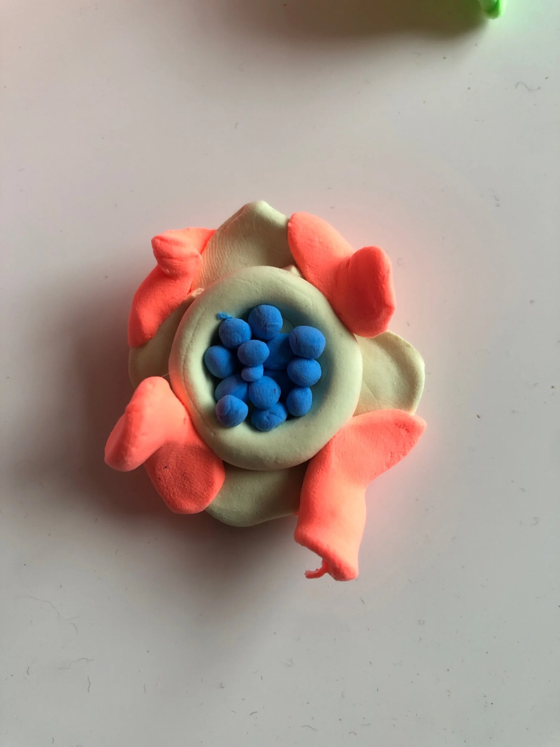 70B3CF8B-F445-445F-BF31-073EC833C331