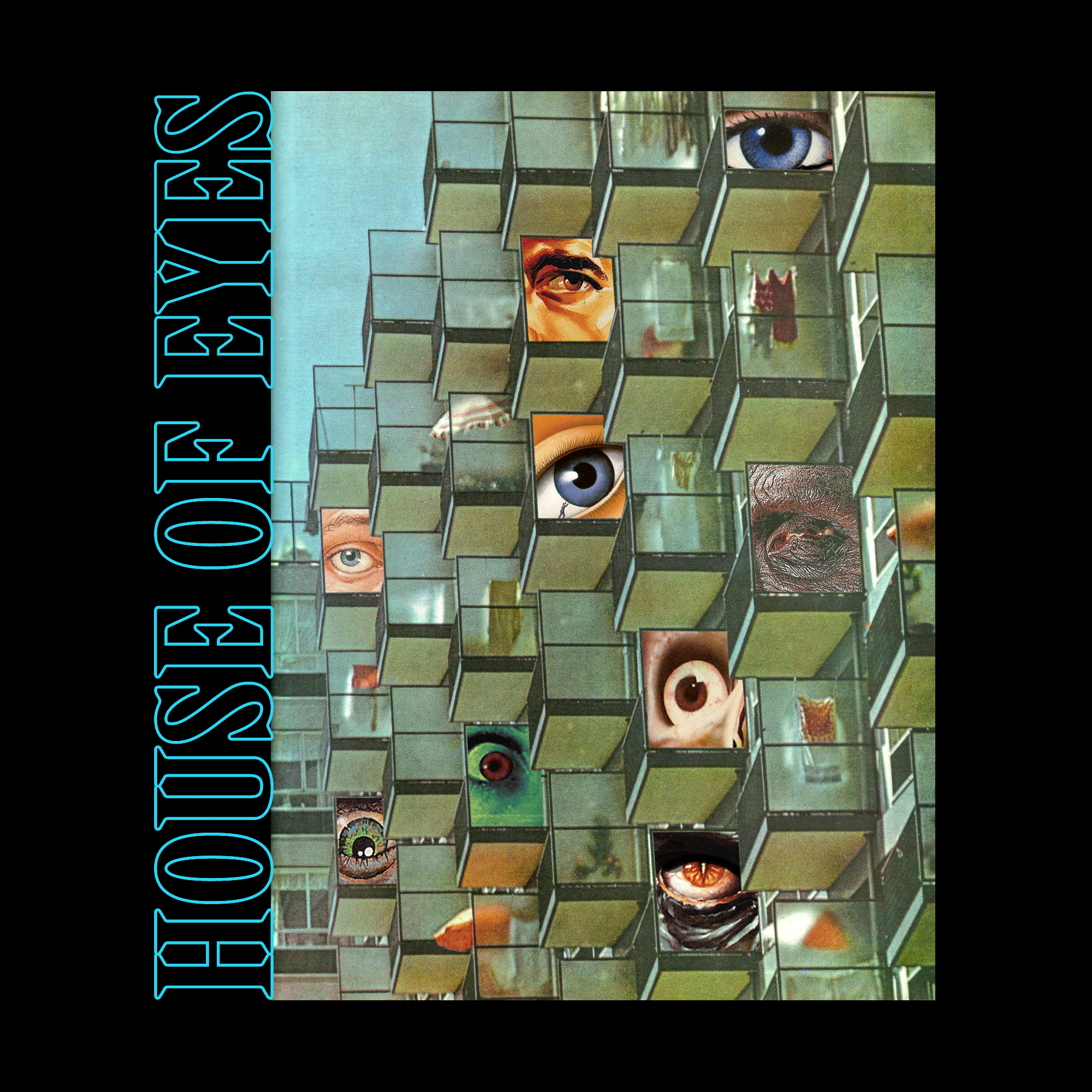 house-of-eyes-.gif
