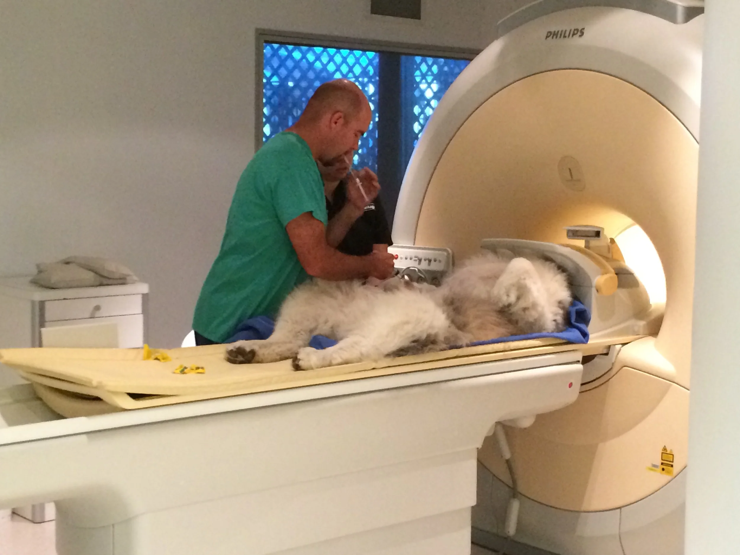 vets with mri scanners near me