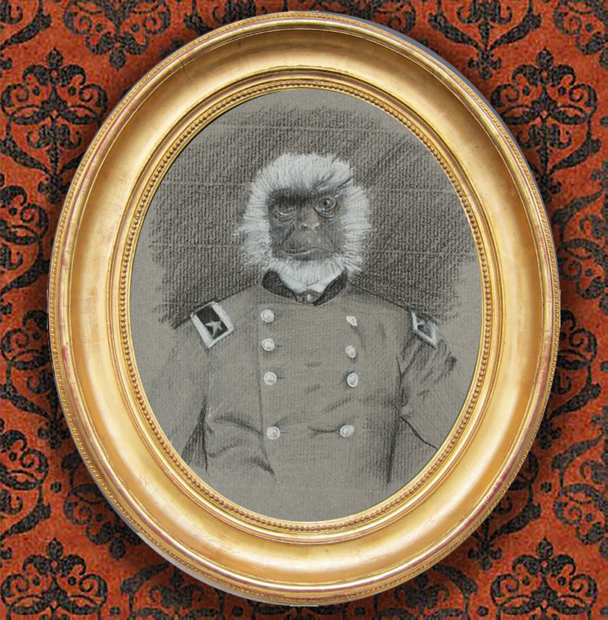 Monkey 6.png