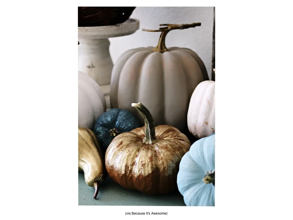 PUMPKIN 12 USE.jpg