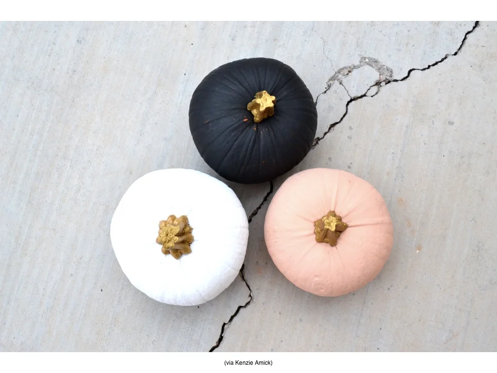 PUMPKIN 8 USE.jpg