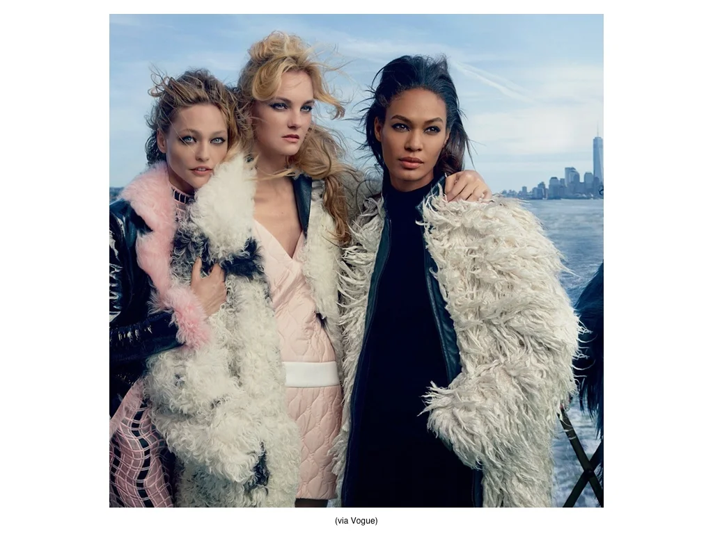 FAUX FUR MAIN 1 USE.jpg