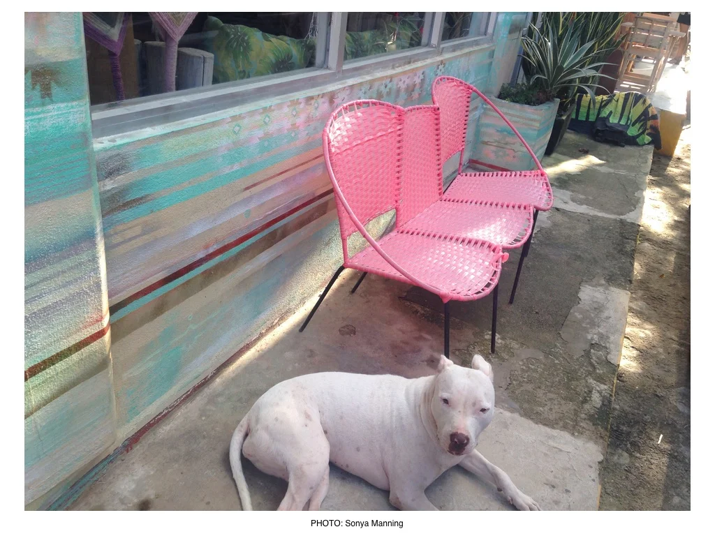 MEXICAN DECOR 8 USE_0.jpg