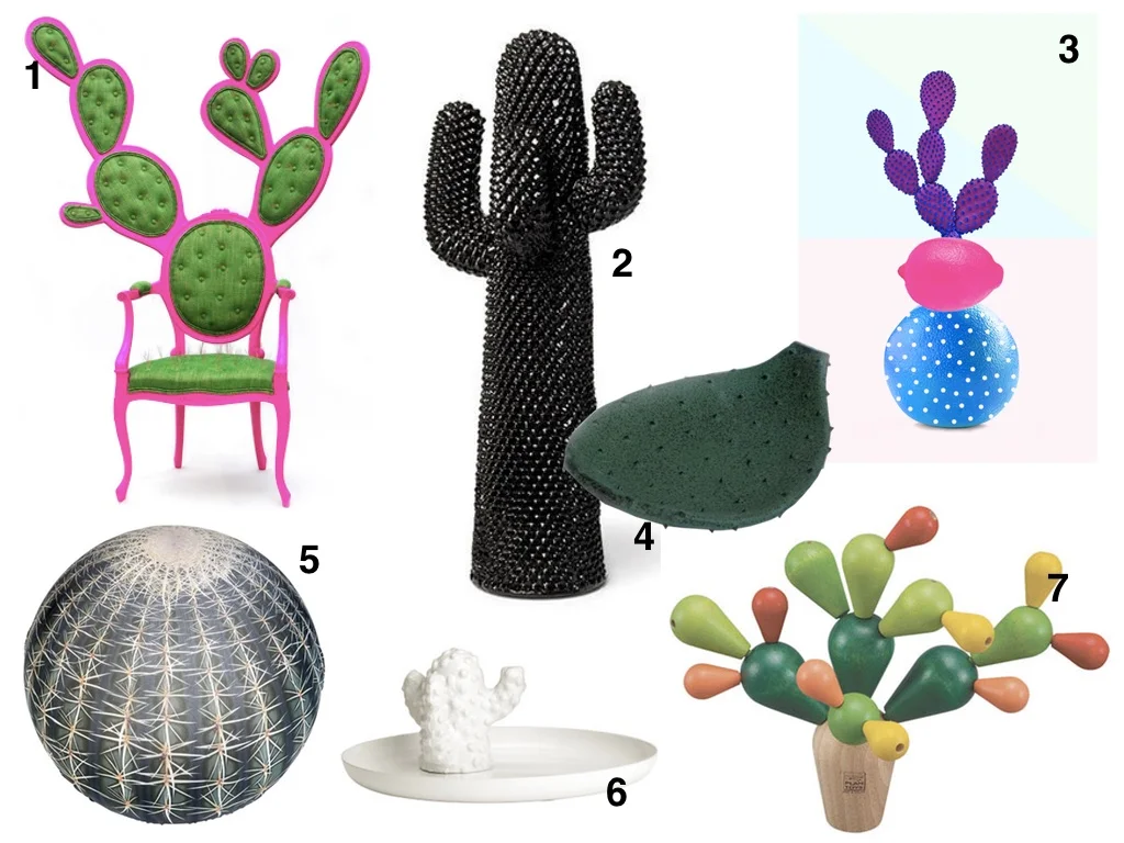 SUCCULENT COLLAGE USE.jpg