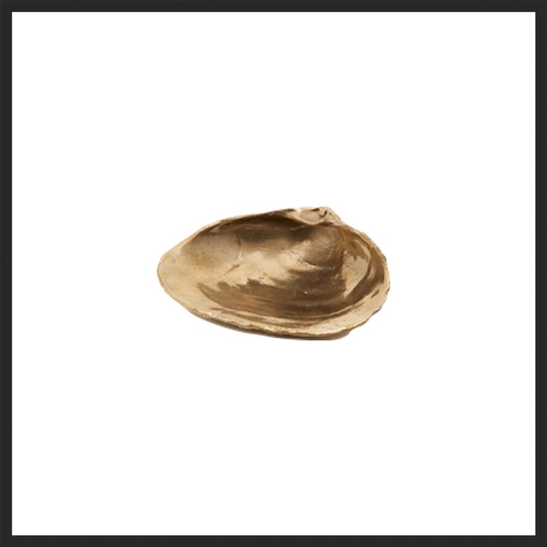 LM SHELL.jpg