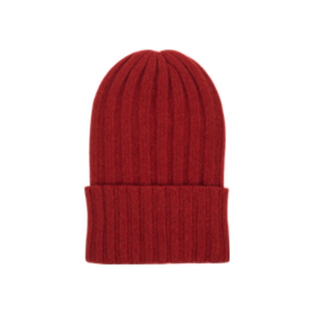 BEANIE.jpg